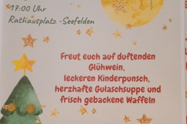 Adventsfenster bei den LandFrauen