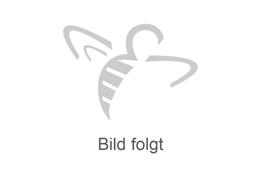 Ortsverein Buggingen-Seefelden